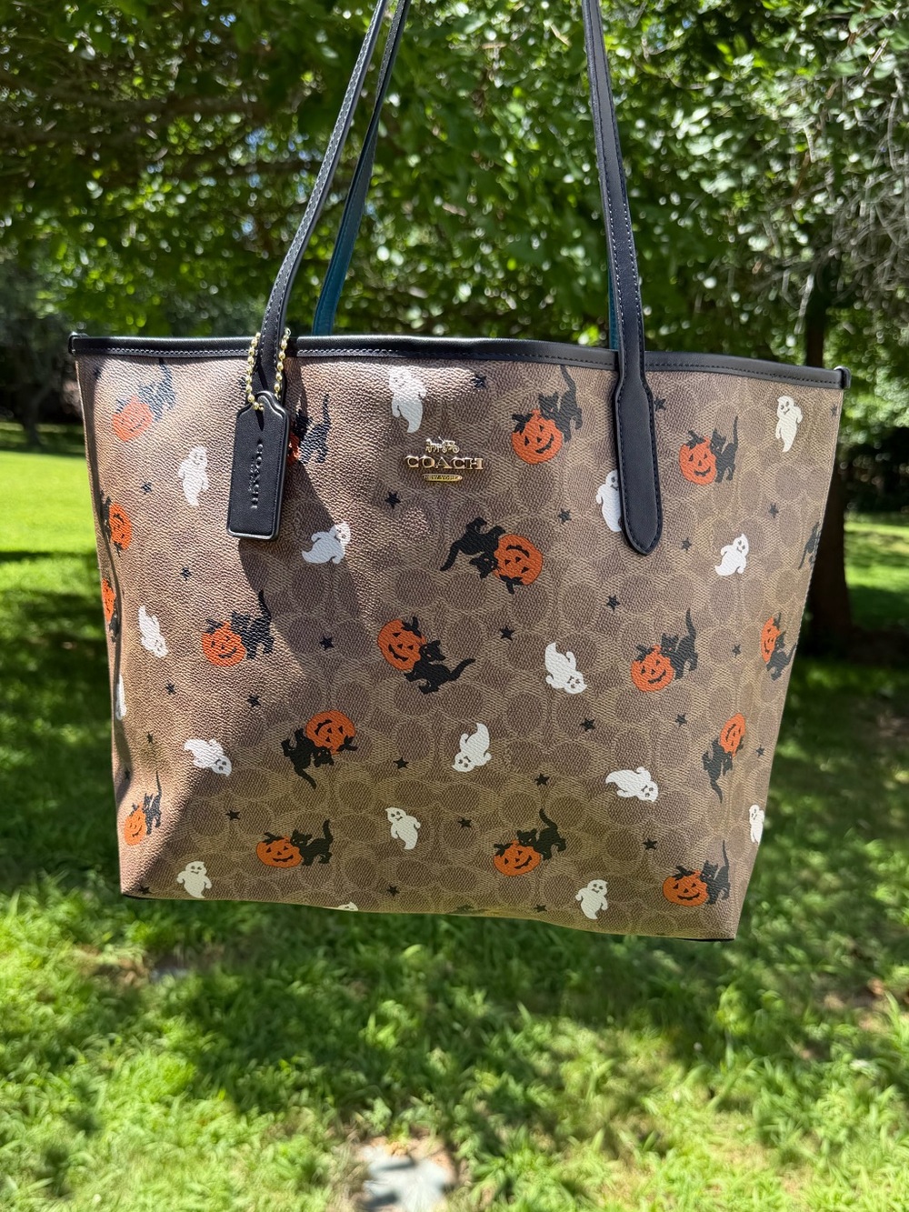 Coach Halloween City Tote Signature Canvas Ghost Pumpkin Cat CW450 NWT